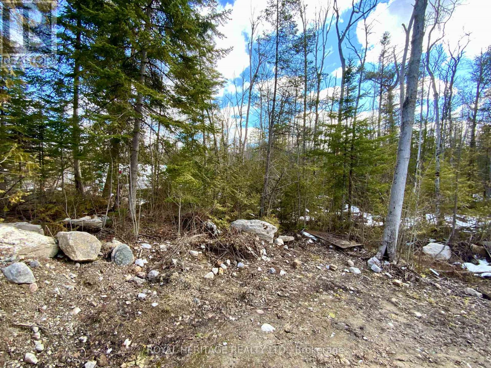 23 River Road, Kawartha Lakes, Ontario  K0M 1N0 - Photo 28 - X12988652