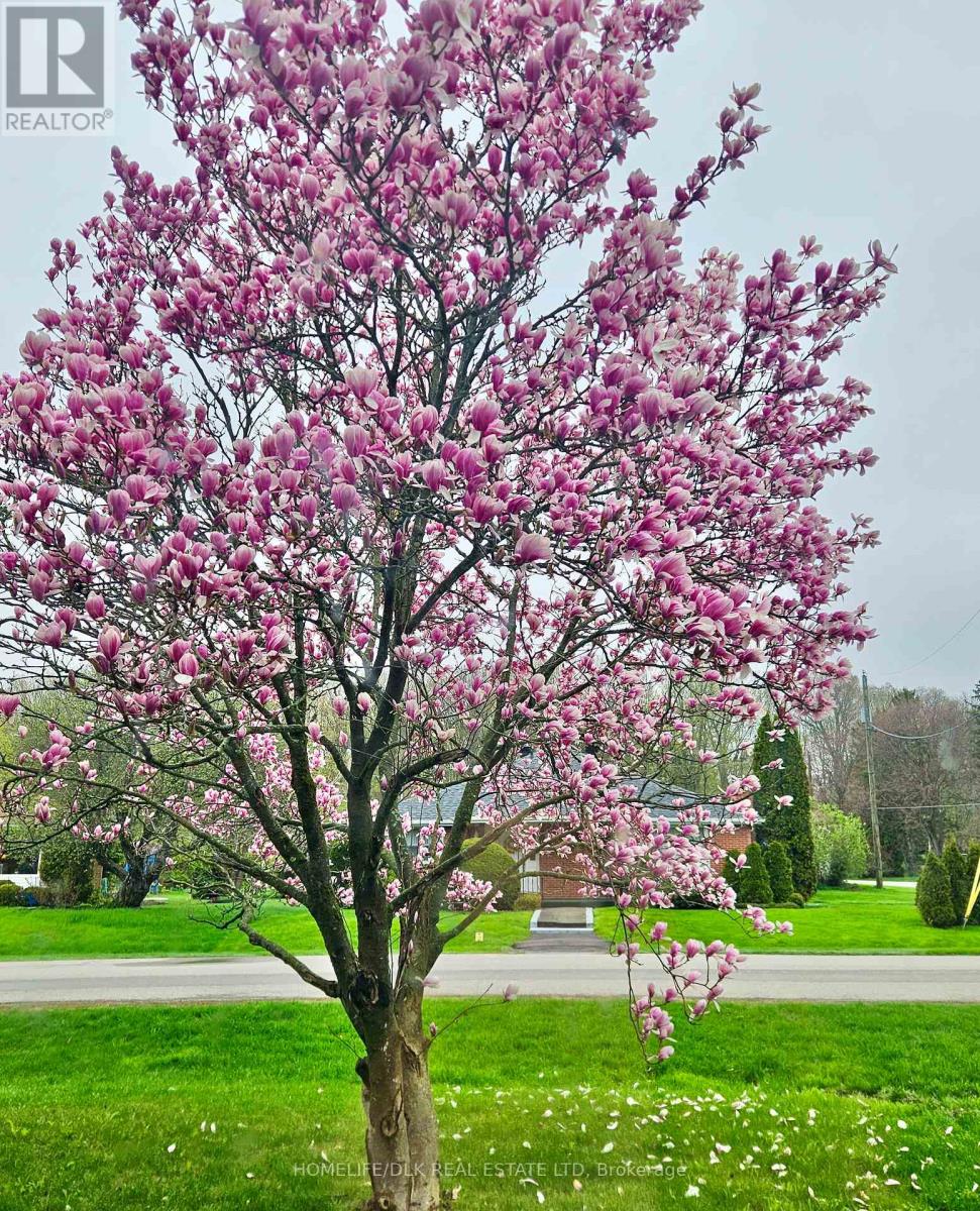 4 Baxter Drive, Brockville, Ontario  K6V 3T8 - Photo 39 - X12973396