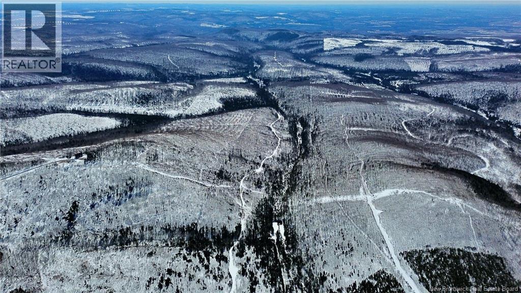 Land Kintore Tower Road, Kintore, New Brunswick  E7H 2P8 - Photo 10 - NB137099