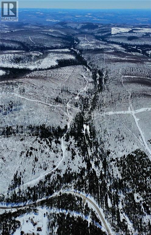 Land Kintore Tower Road, Kintore, New Brunswick  E7H 2P8 - Photo 11 - NB137099