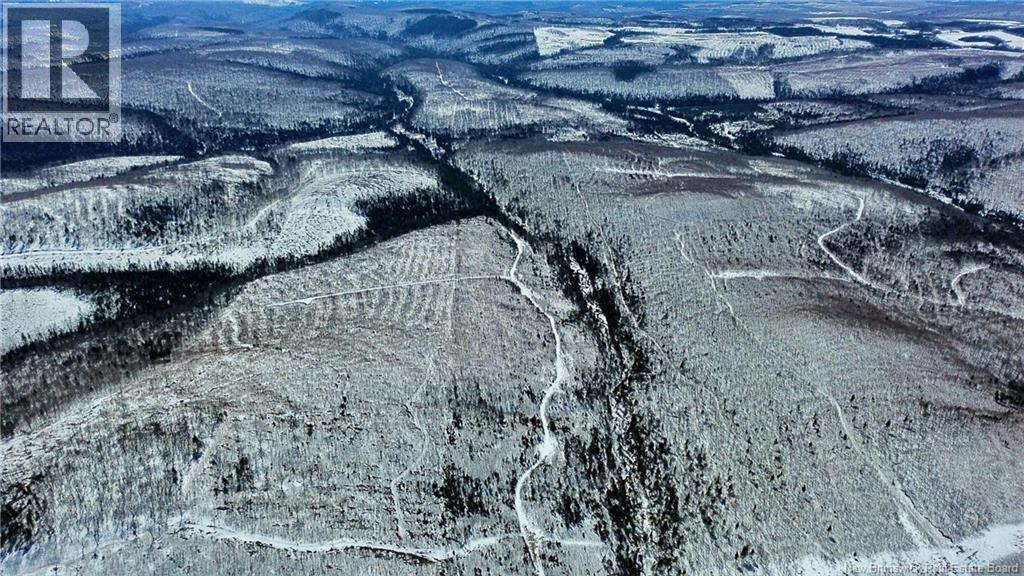 Land Kintore Tower Road, Kintore, New Brunswick  E7H 2P8 - Photo 12 - NB137099