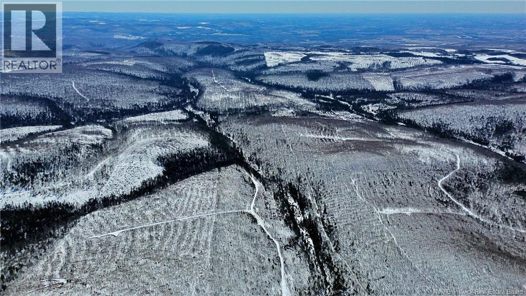 Land Kintore Tower Road, Kintore, New Brunswick  E7H 2P8 - Photo 13 - NB137099