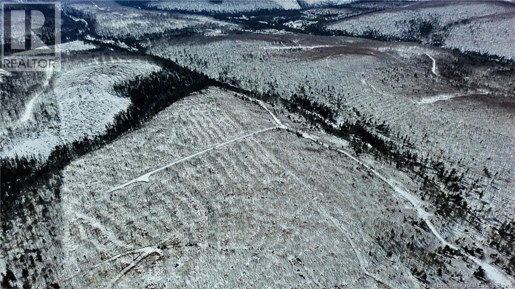 Land Kintore Tower Road, Kintore, New Brunswick  E7H 2P8 - Photo 16 - NB137099