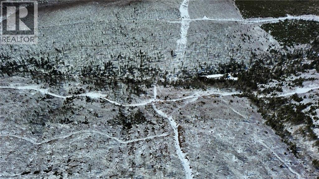 Land Kintore Tower Road, Kintore, New Brunswick  E7H 2P8 - Photo 15 - NB137099