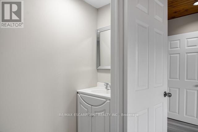 116 Irene Avenue, Hamilton, Ontario  L8G 2B5 - Photo 10 - X12999080