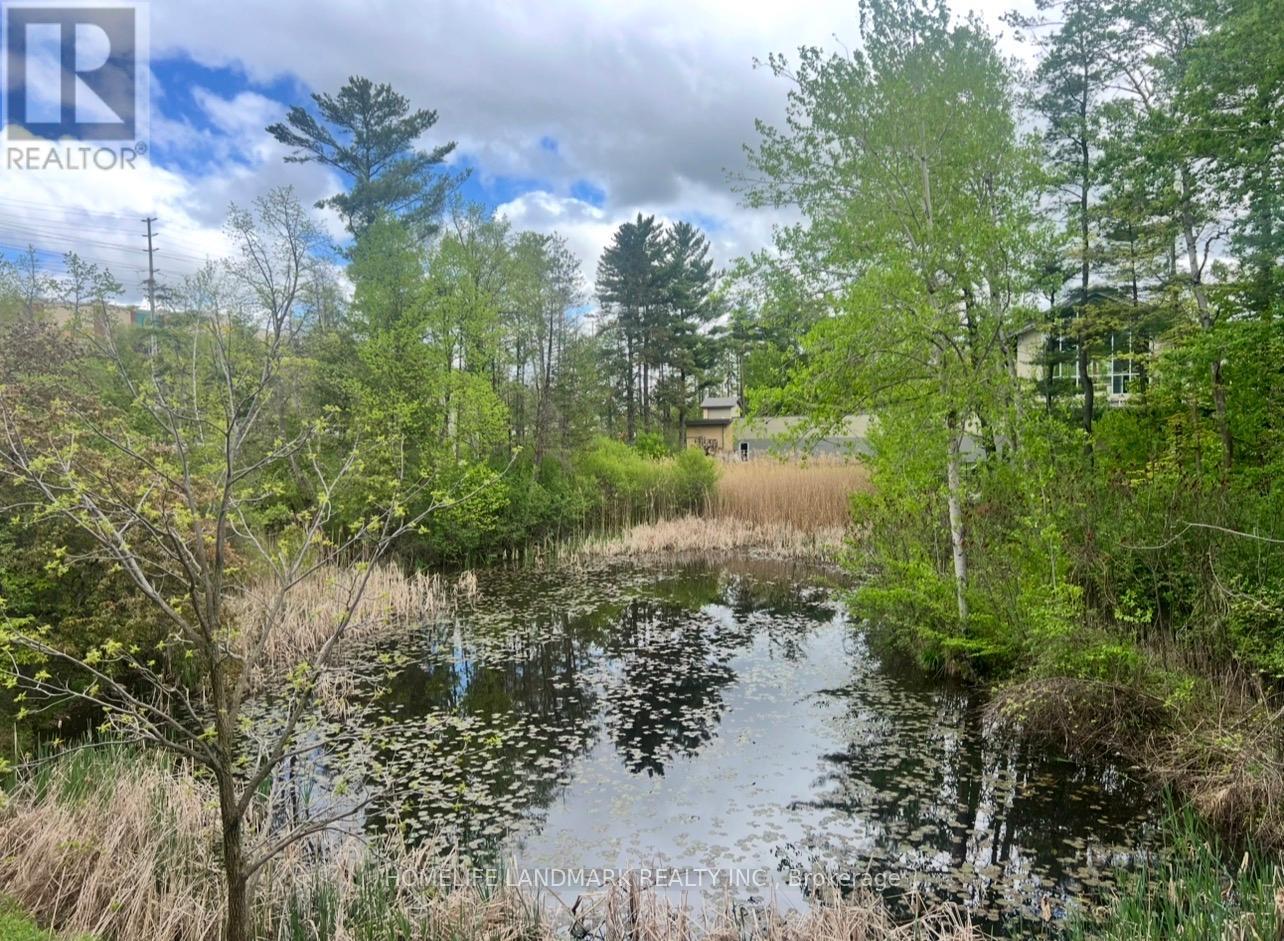 27 Chestnut Court, Aurora, Ontario  L4G 4A4 - Photo 49 - N12983030