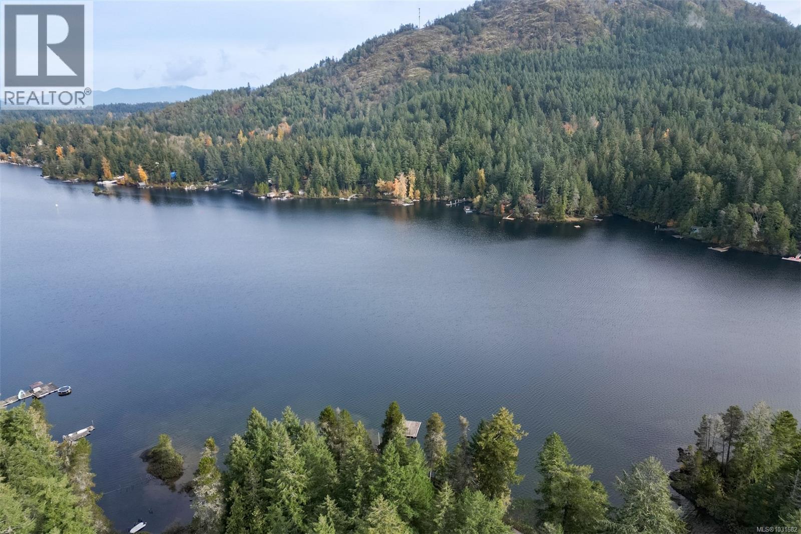 2037 Ida Ave, Shawnigan Lake, British Columbia  V0R 2W3 - Photo 48 - 1031682