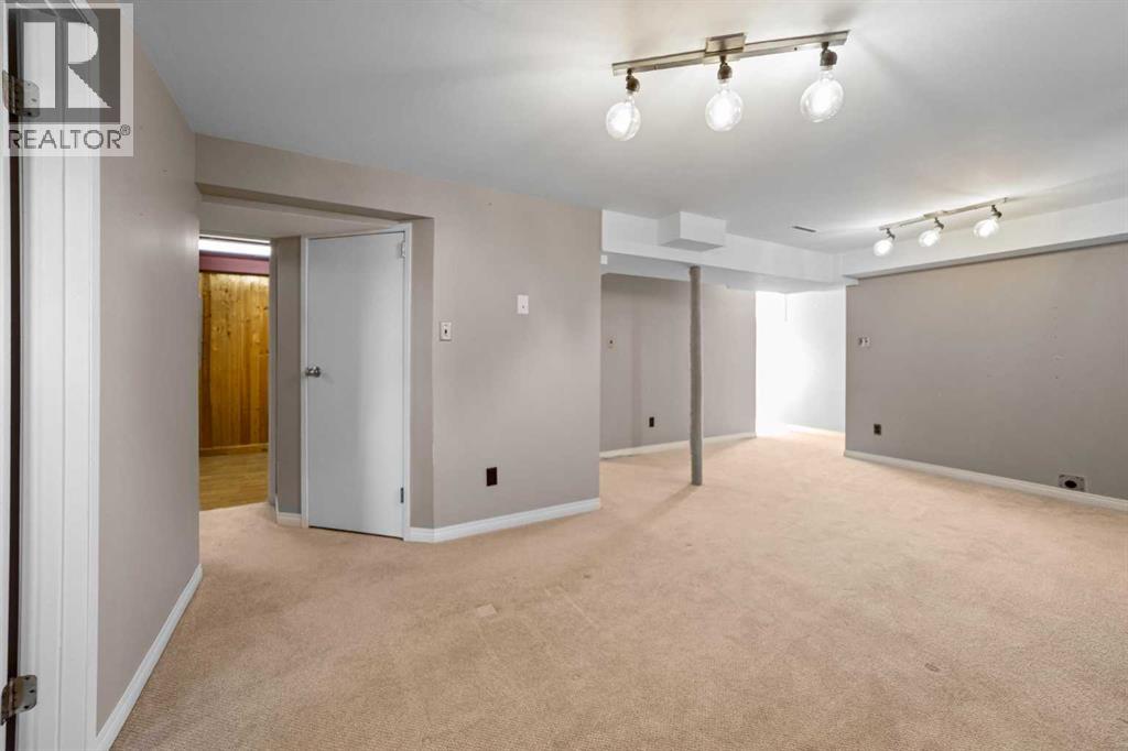 4909 51 Street, Sedgewick, Alberta  T0B 4C0 - Photo 18 - A2287822