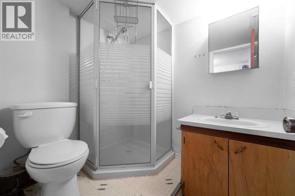 4909 51 Street, Sedgewick, Alberta  T0B 4C0 - Photo 23 - A2287822