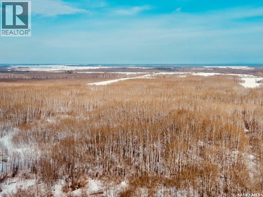 North East 80 Acres River Edge, Hudson Bay Rm No. 394, Saskatchewan  S0E 0Y0 - Photo 12 - SK032912