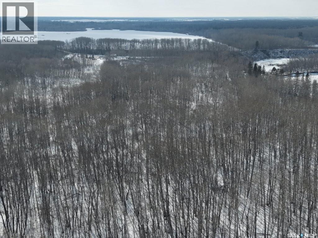 North East 80 Acres River Edge, Hudson Bay Rm No. 394, Saskatchewan  S0E 0Y0 - Photo 13 - SK032912