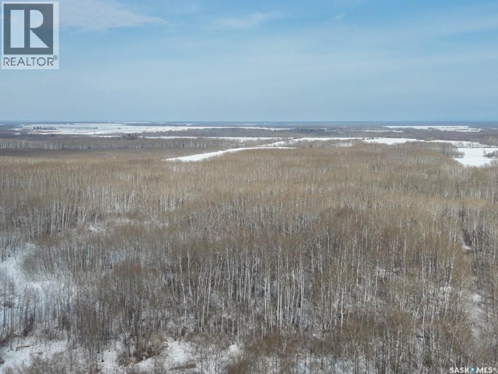 North East 80 Acres River Edge, Hudson Bay Rm No. 394, Saskatchewan  S0E 0Y0 - Photo 14 - SK032912