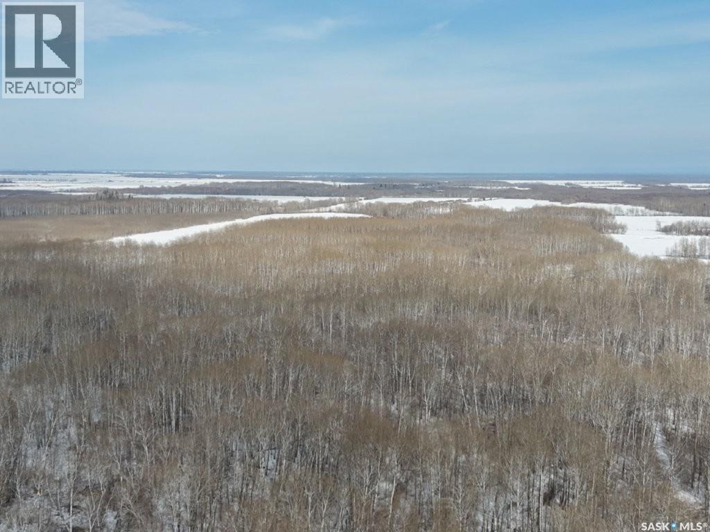 North East 80 Acres River Edge, Hudson Bay Rm No. 394, Saskatchewan  S0E 0Y0 - Photo 16 - SK032912