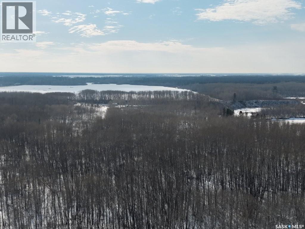 North East 80 Acres River Edge, Hudson Bay Rm No. 394, Saskatchewan  S0E 0Y0 - Photo 17 - SK032912