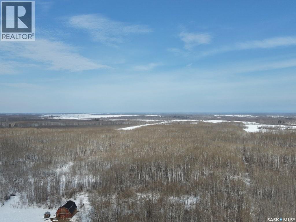 North East 80 Acres River Edge, Hudson Bay Rm No. 394, Saskatchewan  S0E 0Y0 - Photo 18 - SK032912
