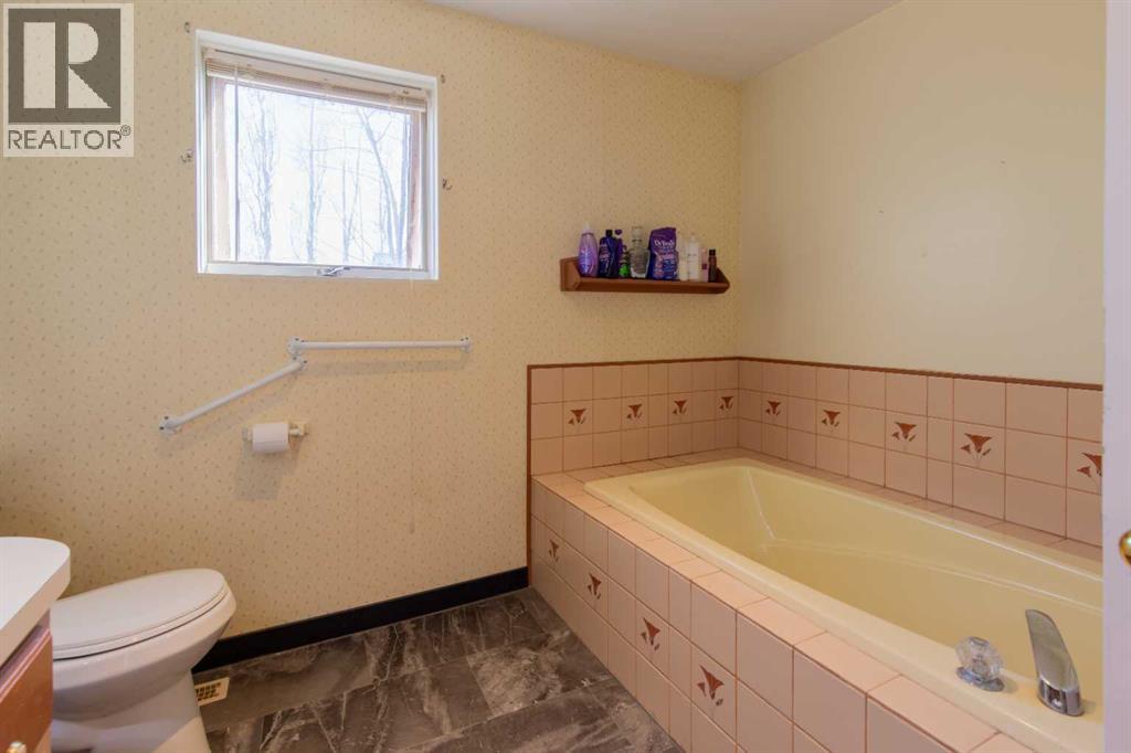 63004a Hwy 5, Welling, Alberta  T0K 2N0 - Photo 33 - A2301411