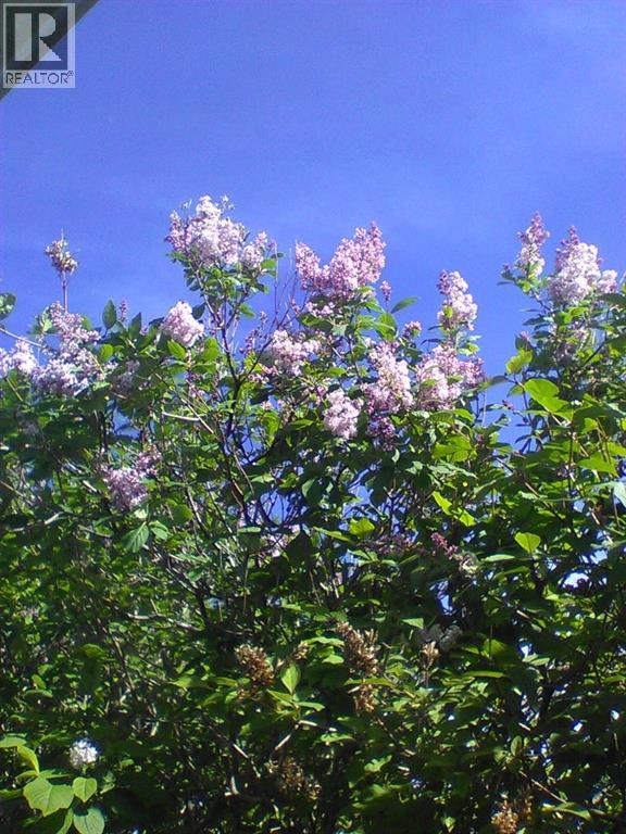 6808 Rundlehorn Drive Ne, Calgary, Alberta  T1Y 3V2 - Photo 44 - A2301051