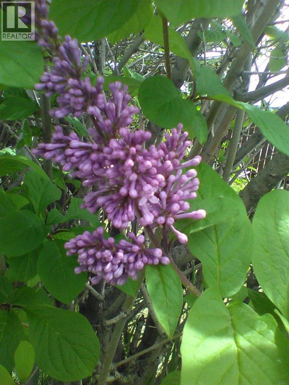 6808 Rundlehorn Drive Ne, Calgary, Alberta  T1Y 3V2 - Photo 45 - A2301051