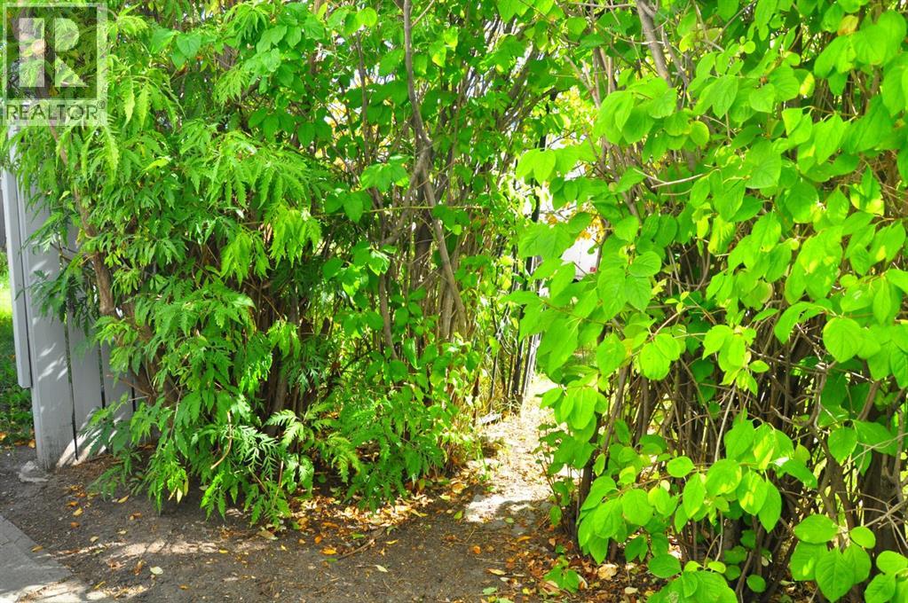 6808 Rundlehorn Drive Ne, Calgary, Alberta  T1Y 3V2 - Photo 42 - A2301051