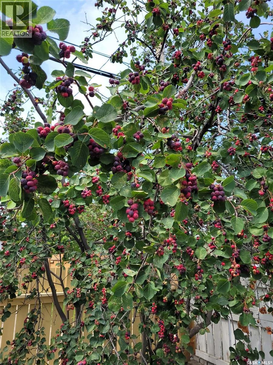 1131 111th Street, North Battleford, Saskatchewan  S9A 2K4 - Photo 34 - SK032810