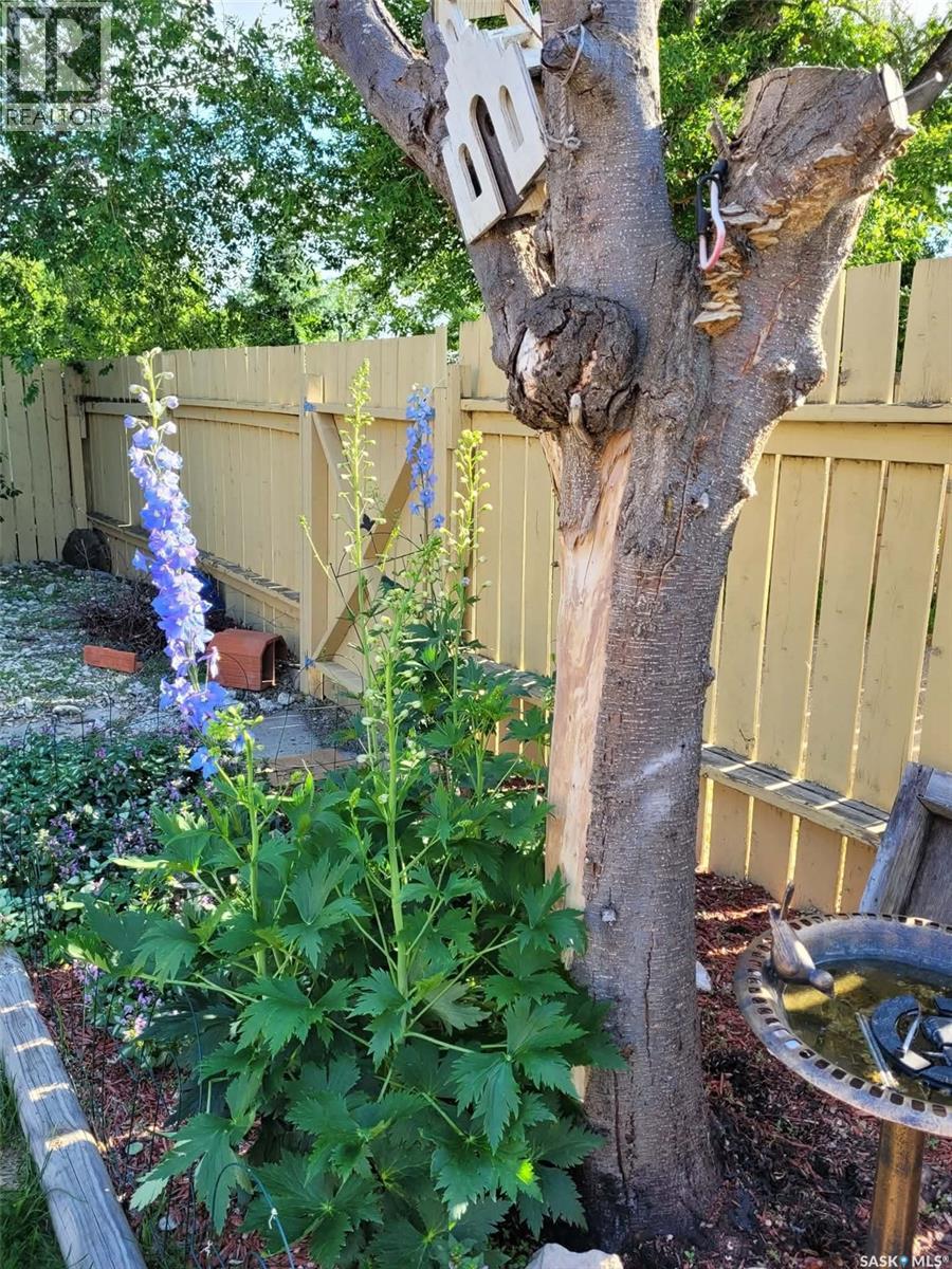 1131 111th Street, North Battleford, Saskatchewan  S9A 2K4 - Photo 36 - SK032810