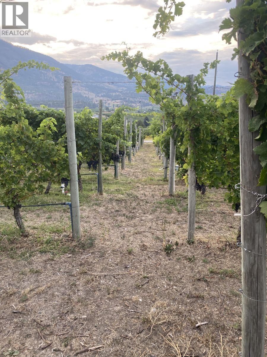 5403 Snowbrush Street, Oliver, British Columbia  V0H 1T9 - Photo 8 - 10361043