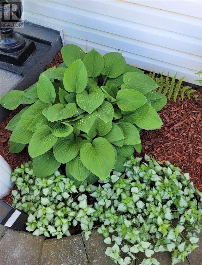 2327 Vermillion Lake Rd., Chelmsford, Ontario  P0M 1L0 - Photo 53 - 2127068