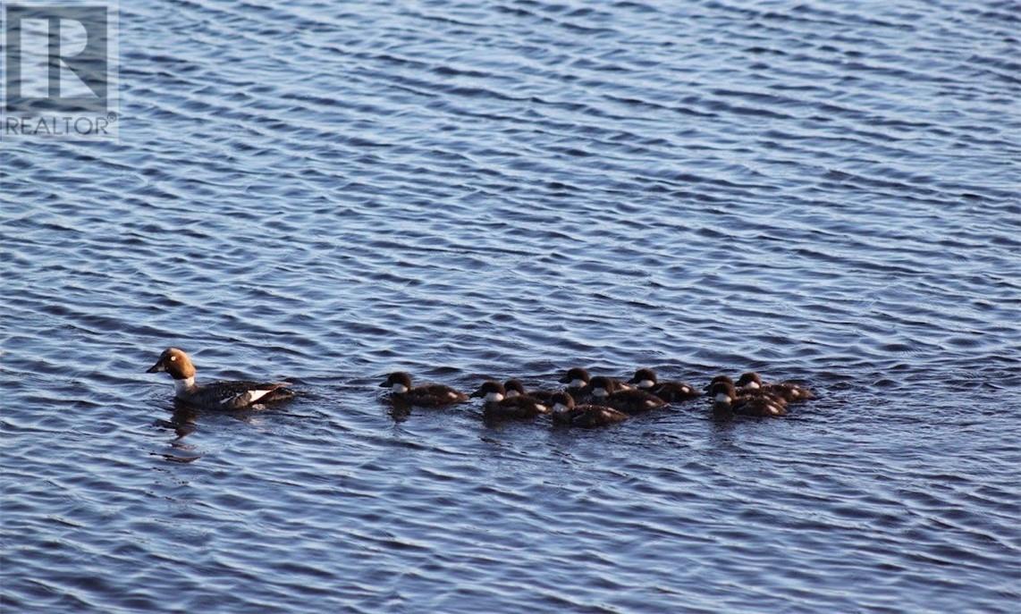 2327 Vermillion Lake Rd., Chelmsford, Ontario  P0M 1L0 - Photo 65 - 2127068