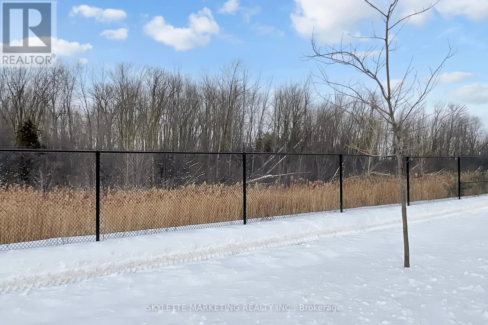 63 Mccague Avenue, Richmond Hill, Ontario  L4S 0J4 - Photo 30 - N12999490