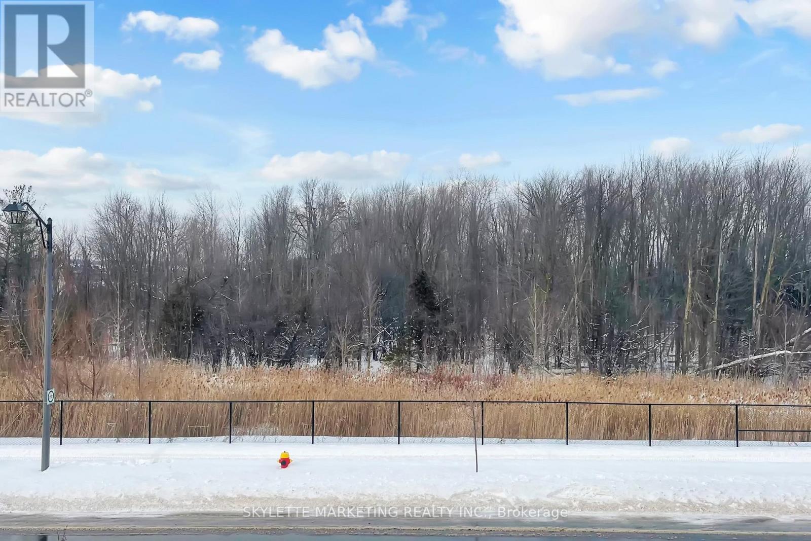 63 Mccague Avenue, Richmond Hill, Ontario  L4S 0J4 - Photo 31 - N12999490