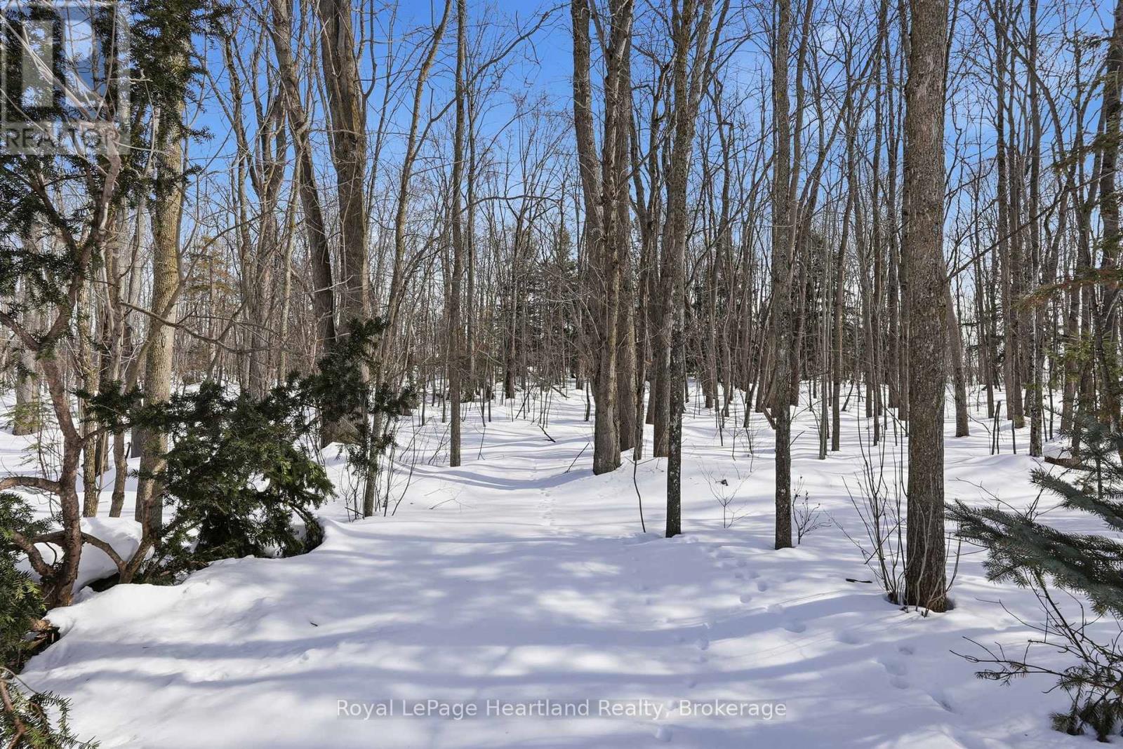 5427 Highway 87, Minto, Ontario  N0G 1Z0 - Photo 35 - X12847598