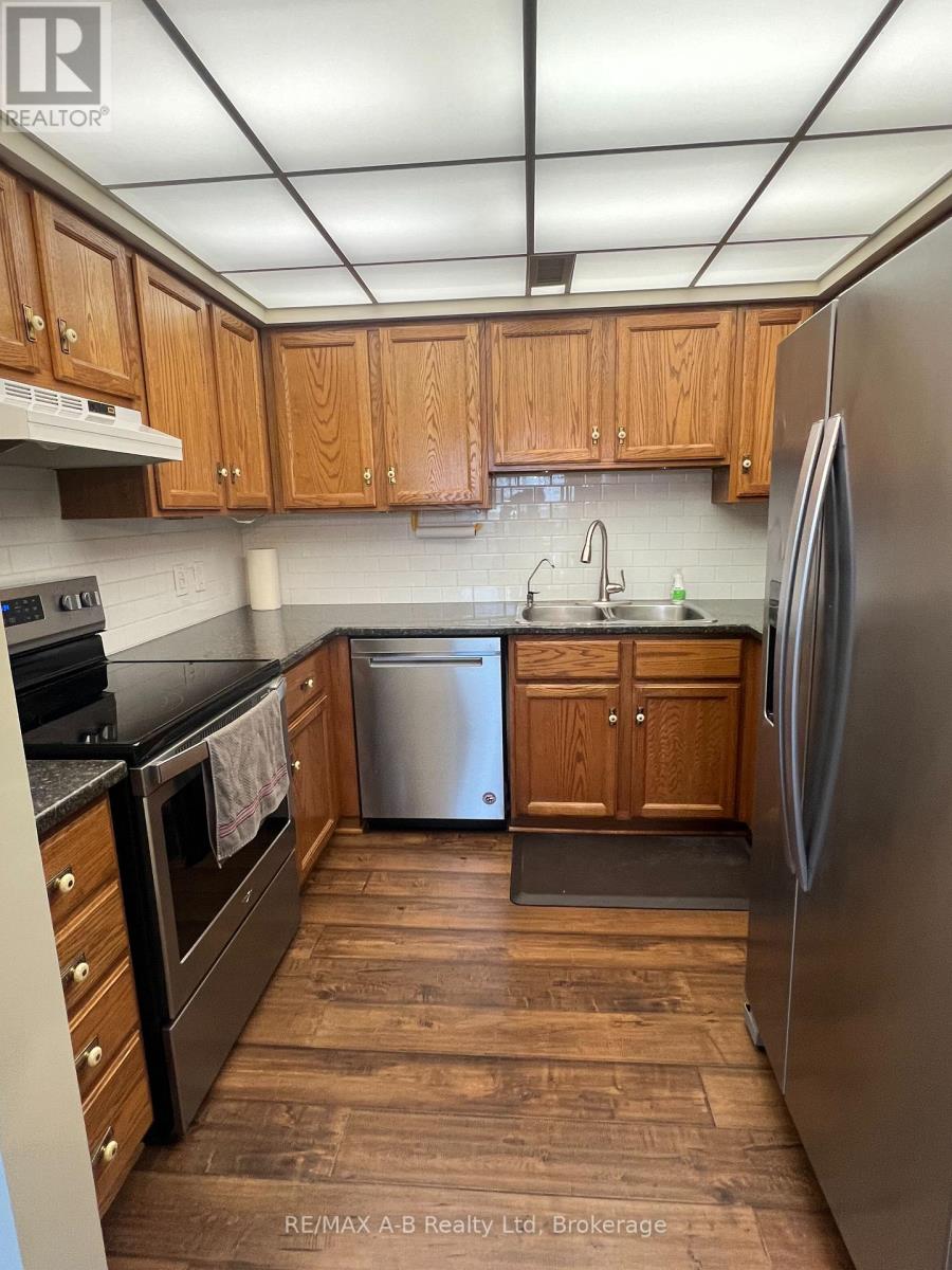 308 - 199 Hope Street E, East Zorra-Tavistock, Ontario  N0B 2R0 - Photo 6 - X12999686