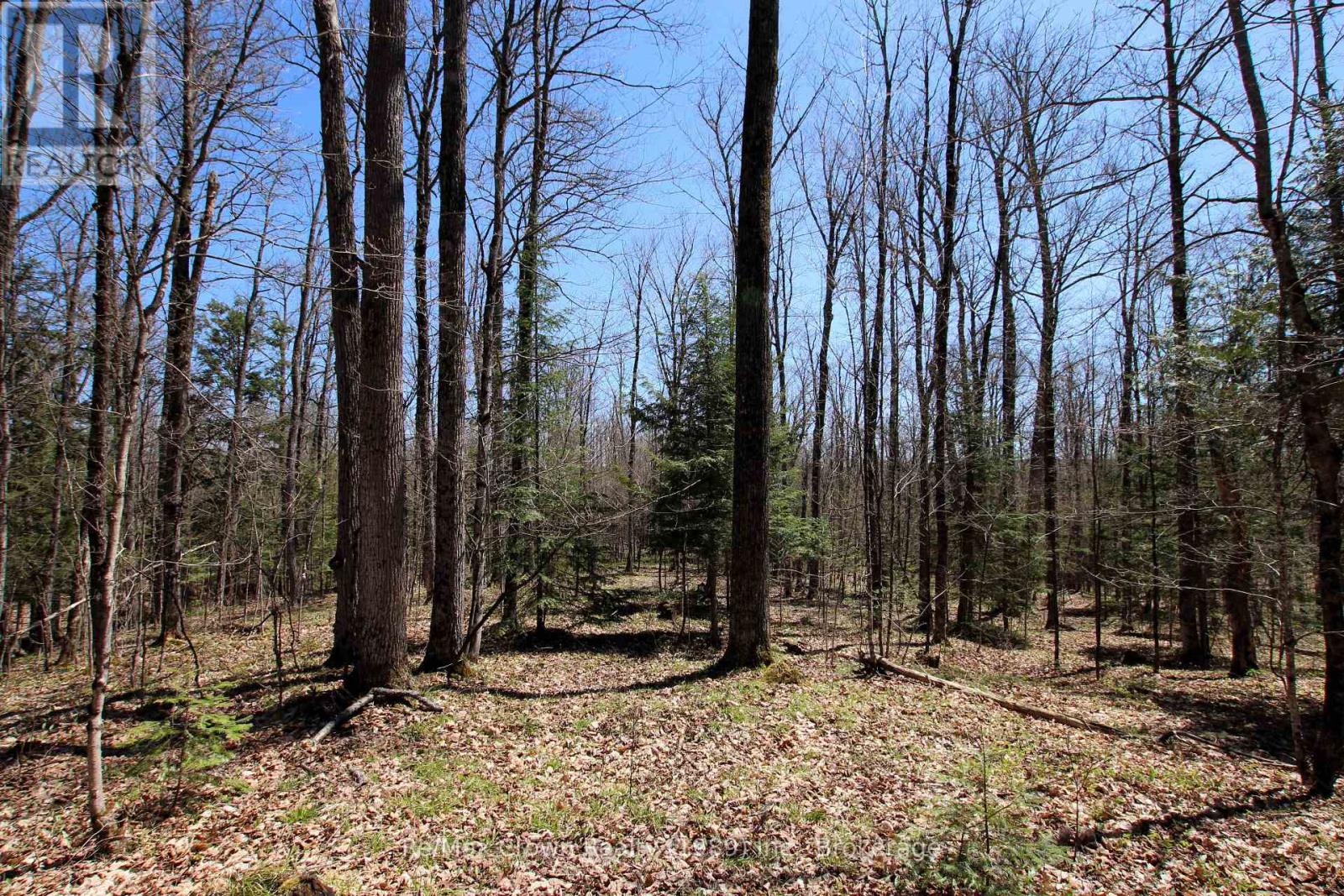 0 534 Highway, Parry Sound Remote Area, Ontario  P0H 2R0 - Photo 4 - X12999702