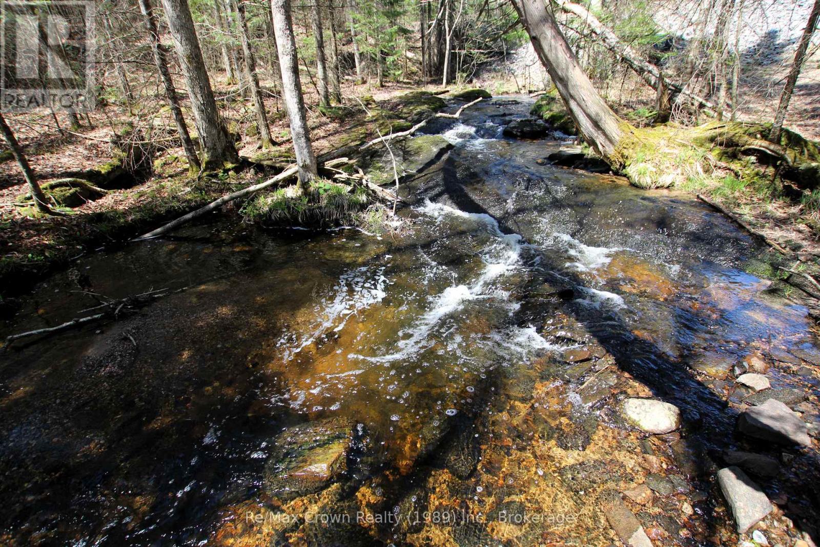 0 534 Highway, Parry Sound Remote Area, Ontario  P0H 2R0 - Photo 6 - X12999702