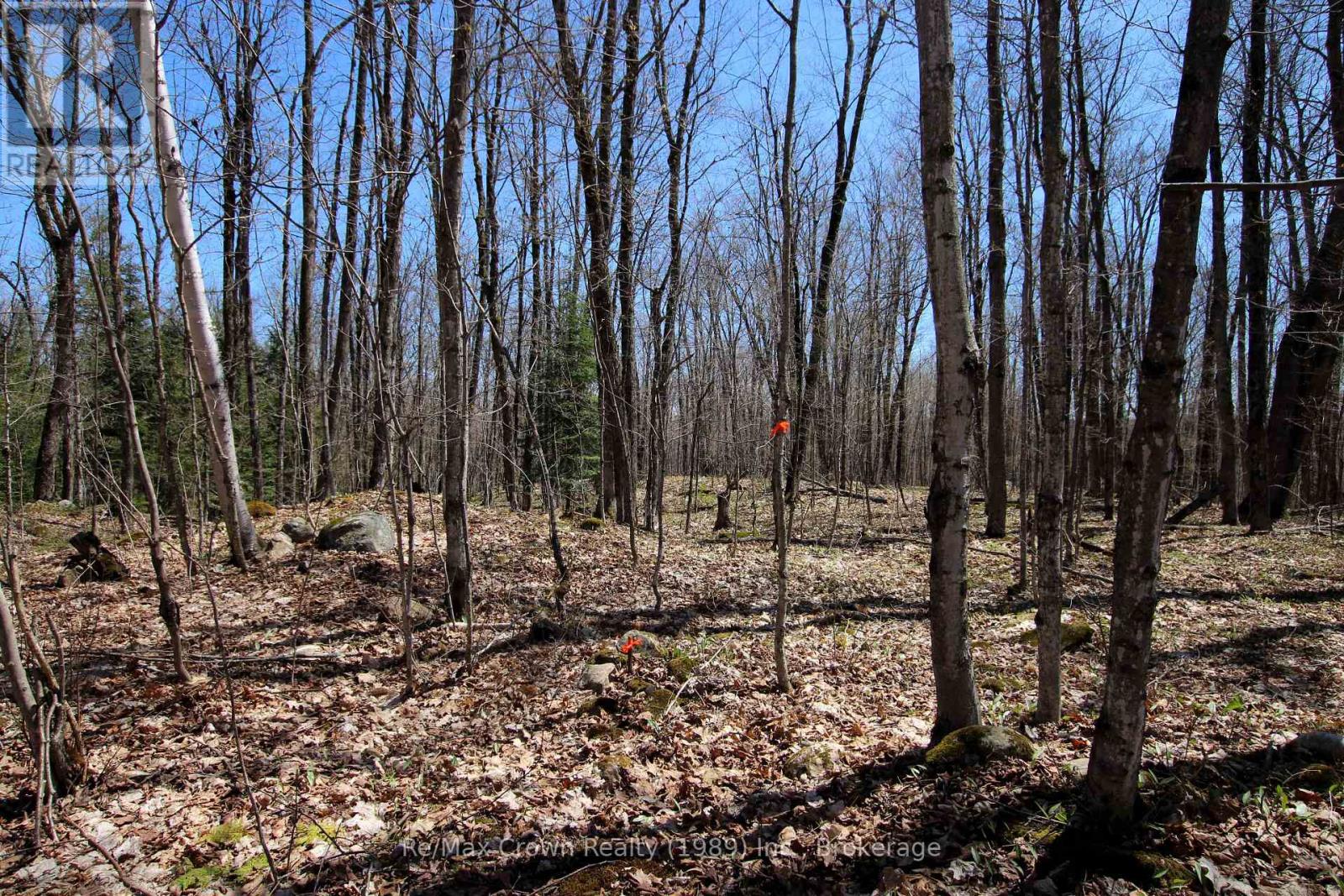 0 534 Highway, Parry Sound Remote Area, Ontario  P0H 2R0 - Photo 7 - X12999702