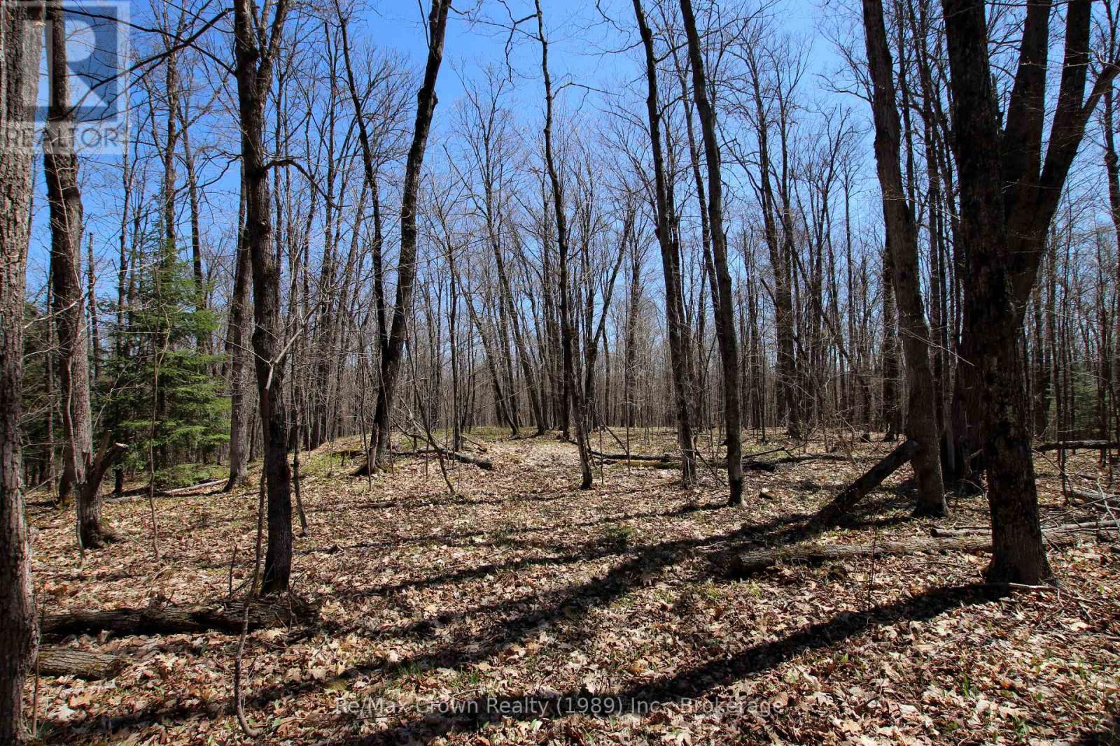 0 534 Highway, Parry Sound Remote Area, Ontario  P0H 2R0 - Photo 8 - X12999702