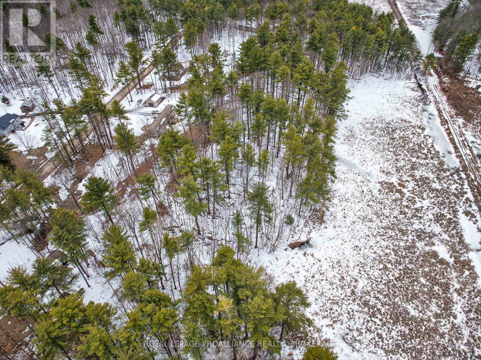 Pt Lt 18 Clear Lake Road, Rideau Lakes, Ontario  K0G 1E0 - Photo 17 - X12951860