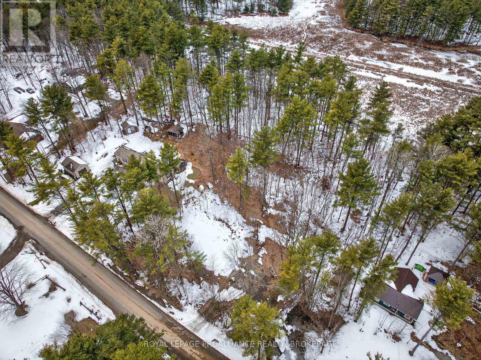 Pt Lt 18 Clear Lake Road, Rideau Lakes, Ontario  K0G 1E0 - Photo 11 - X12951860