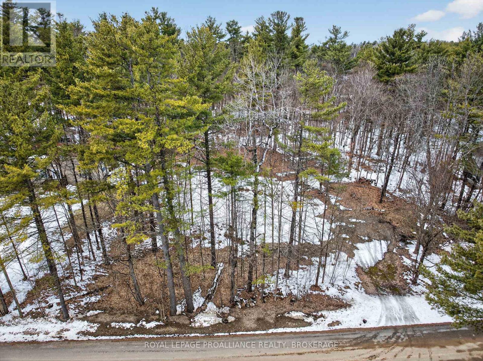 Pt Lt 18 Clear Lake Road, Rideau Lakes, Ontario  K0G 1E0 - Photo 12 - X12951860