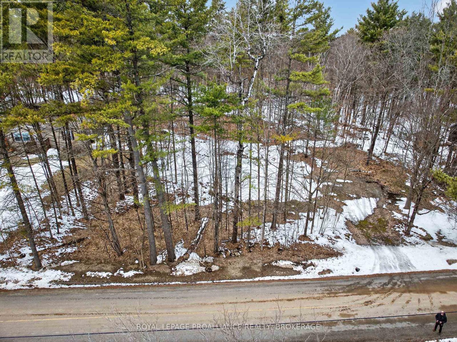 Pt Lt 18 Clear Lake Road, Rideau Lakes, Ontario  K0G 1E0 - Photo 9 - X12951860