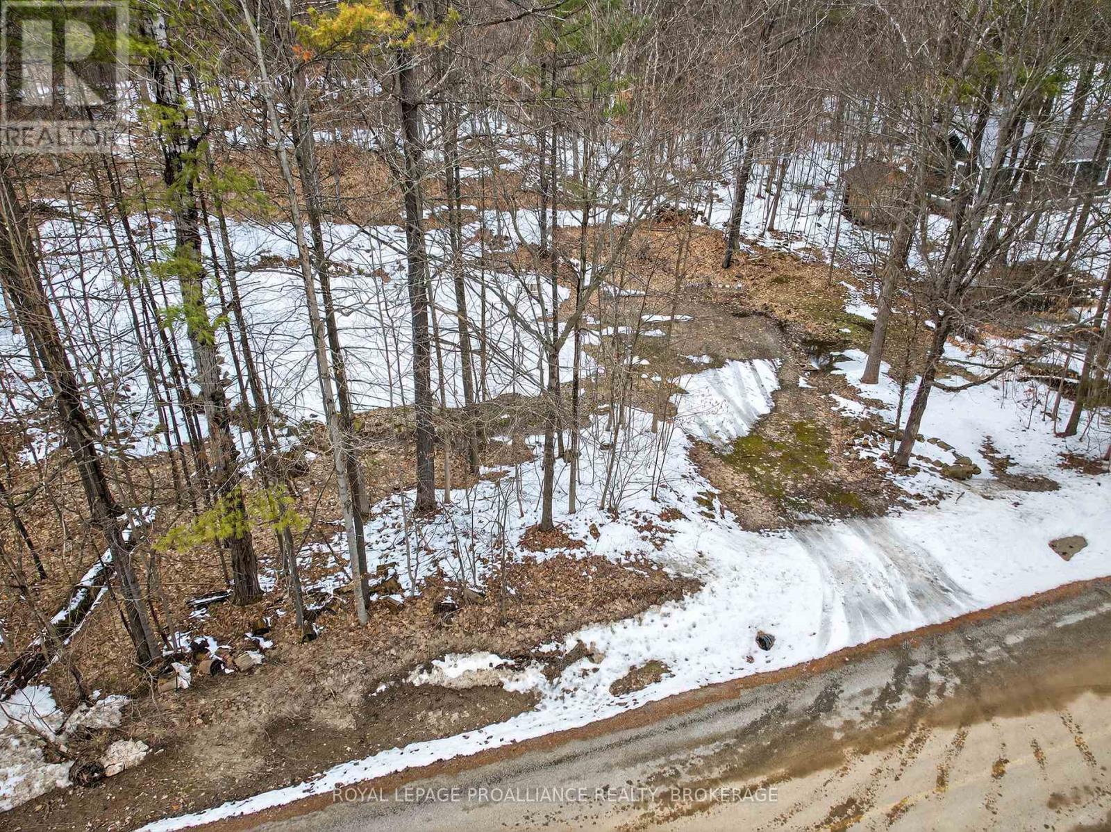 Pt Lt 18 Clear Lake Road, Rideau Lakes, Ontario  K0G 1E0 - Photo 8 - X12951860