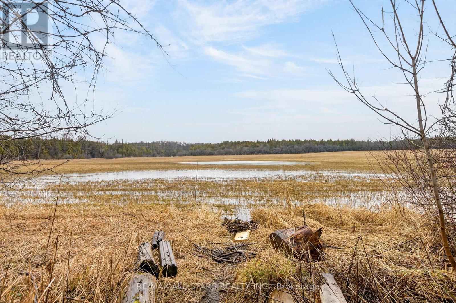 17 Hawke Drive, Kawartha Lakes (Emily), Ontario  K0L 2W0 - Photo 40 - X12999750