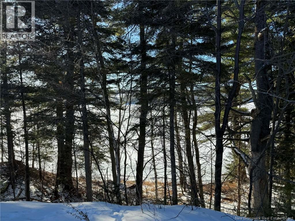 286 River Road, Sunny Corner, New Brunswick  E9E 1W1 - Photo 2 - NB133278