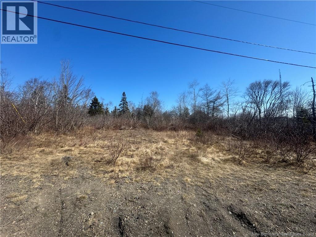 90 Foster Hill Road, Grand Manan, New Brunswick  E5G 2G6 - Photo 11 - NB137043