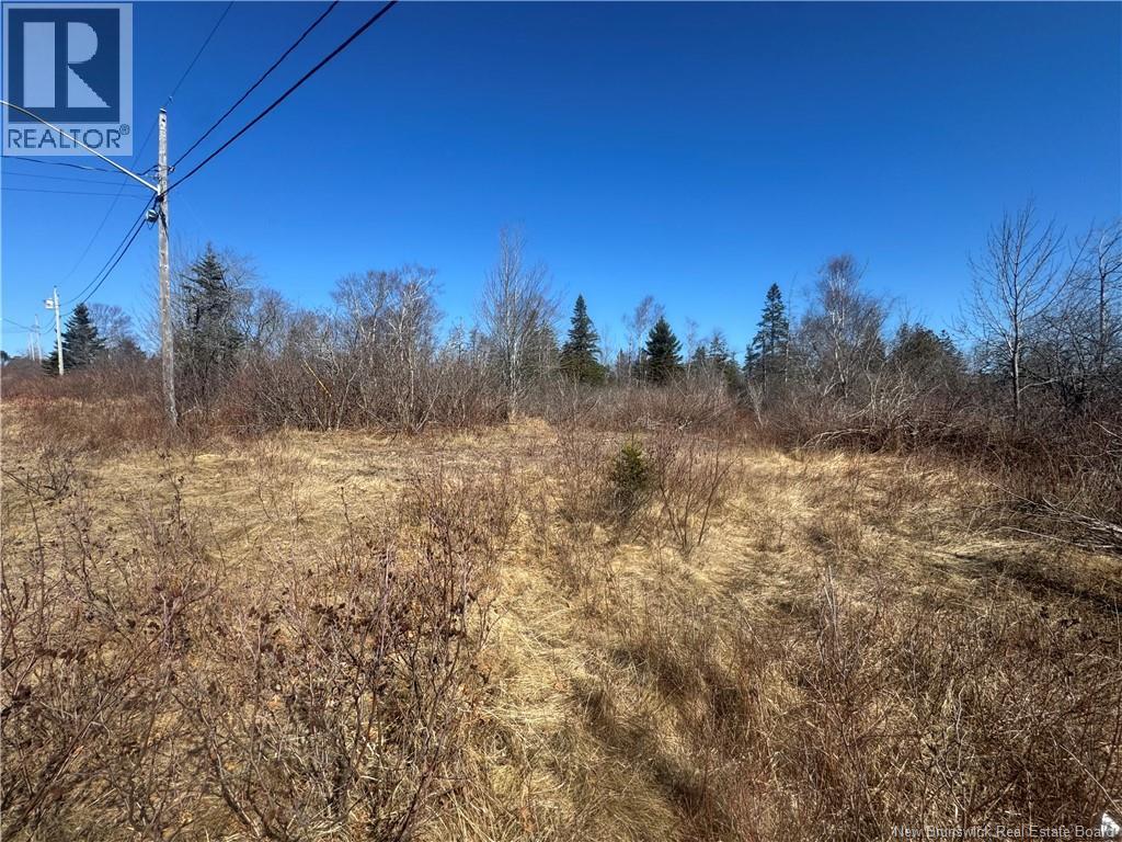 90 Foster Hill Road, Grand Manan, New Brunswick  E5G 2G6 - Photo 5 - NB137043