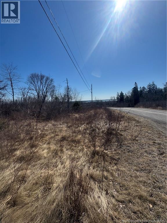 90 Foster Hill Road, Grand Manan, New Brunswick  E5G 2G6 - Photo 4 - NB137043