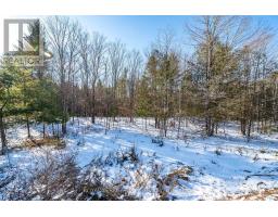 00 MAPLE STREET, Lanark Highlands, Ontario