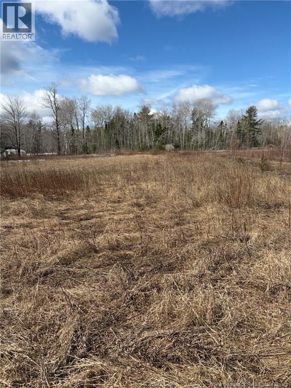 1 Acre Bellefond Road, Bellefond, New Brunswick  E1V 4T6 - Photo 5 - NB135061