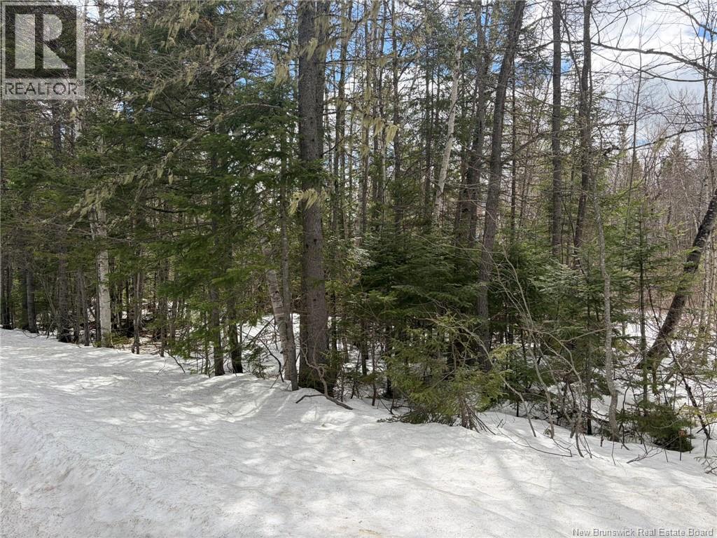 3.7 Acres Route 435, Maple Glen, New Brunswick  E1V 4X5 - Photo 3 - NB135057