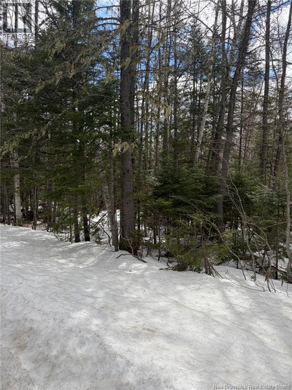 3.7 Acres Route 435, Maple Glen, New Brunswick  E1V 4X5 - Photo 4 - NB135057